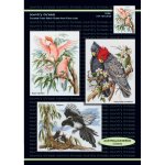 (image for) Australian Birds-1